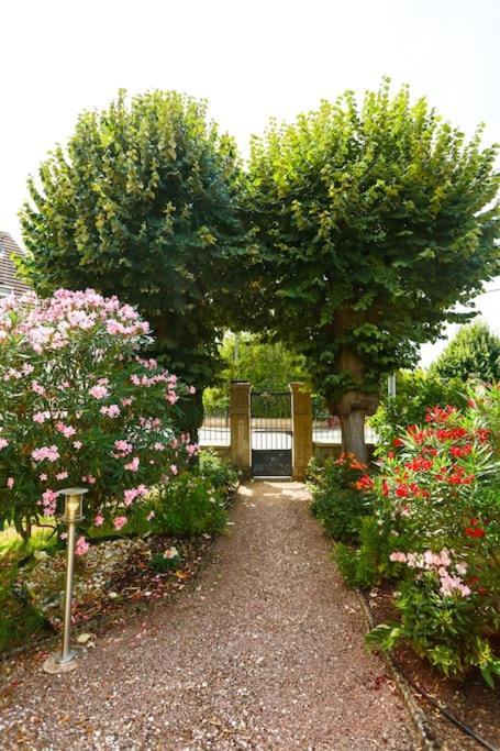 F3 80 M2 Longere Plain Pied Au Centre Auxonne. Villa Eksteriør bilde